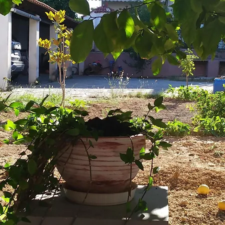 Διαμέρισμα Cozy House Near The
