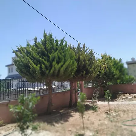 Cozy House Near The *